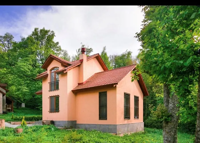 Dilijan Dream House! 3 Bedroom Amazing Villa In National Park!