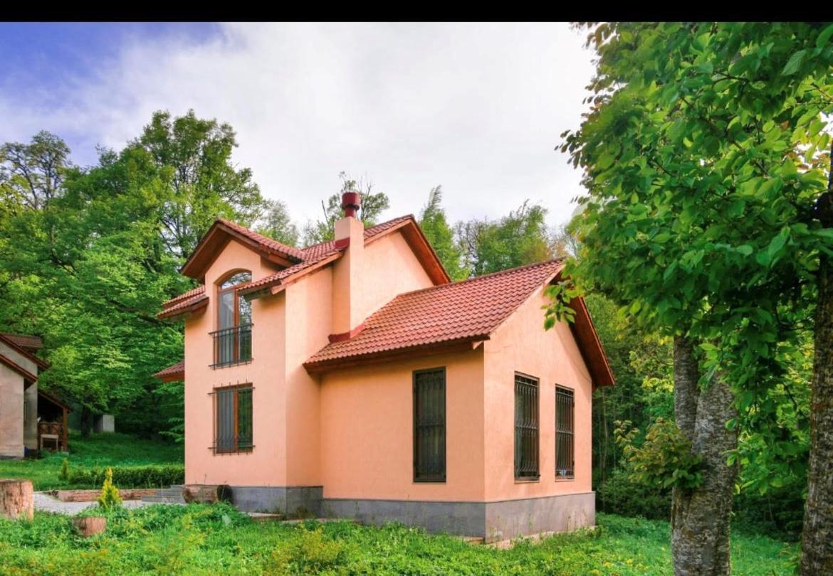 Dream House! 3 Bedroom Amazing In National Park! * Dilijan